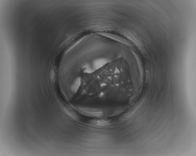 X0000111160165200907141409