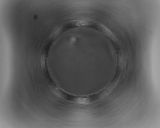 X0000111160169200907141409