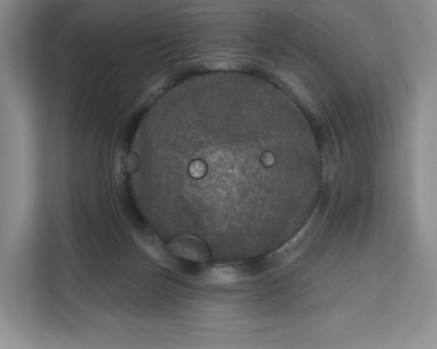 X0000111160171200907141409
