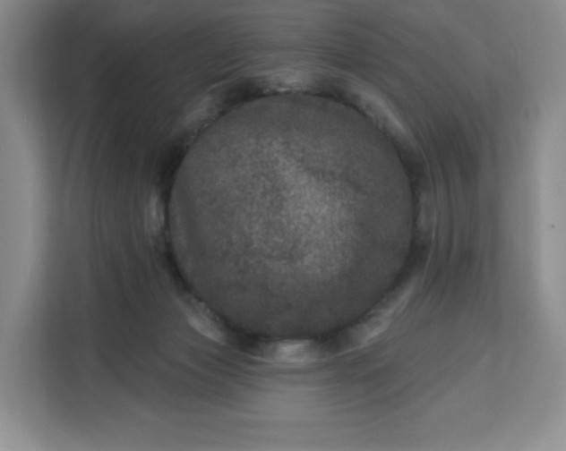 X0000111160173200907141409