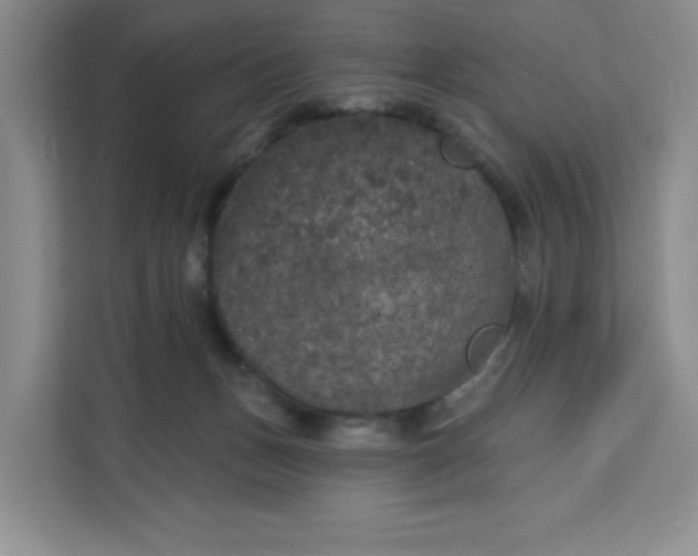 X0000111160175200907141409
