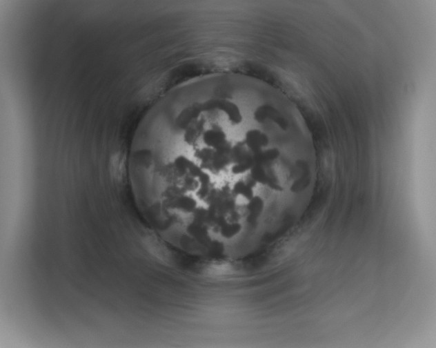 X0000111160177200907141409