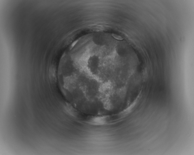 X0000111160178200907141409