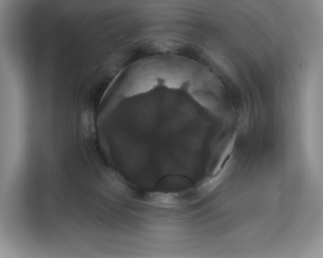 X0000111160182200907141409