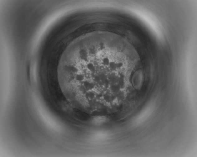X0000111160189200907141409