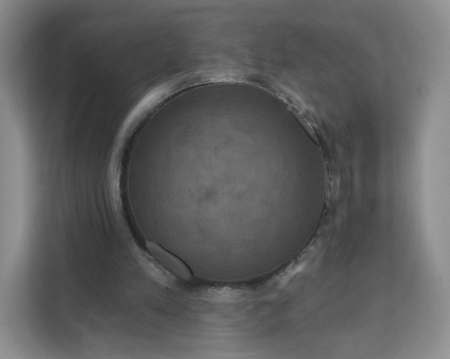 X0000111160197200907141408