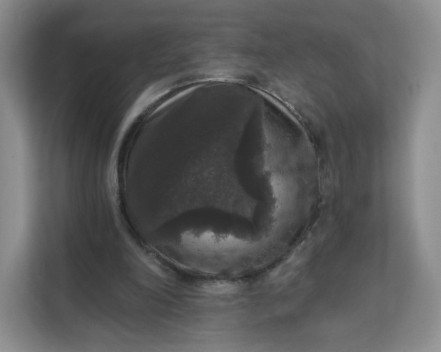 X0000111160198200907141408
