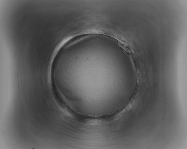 X0000111160200200907141408