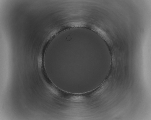 X0000111160202200907141408