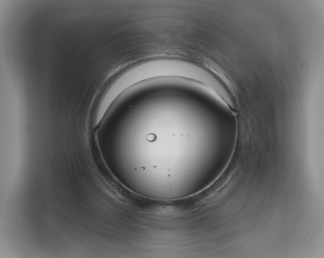 X0000111160203200907141408