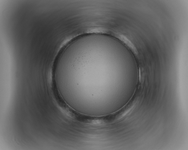 X0000111160204200907141408