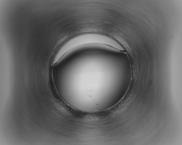 X0000111160207200907141408