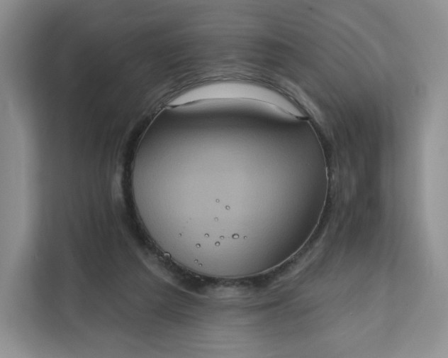 X0000111160209200907141408