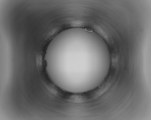 X0000111160211200907141408
