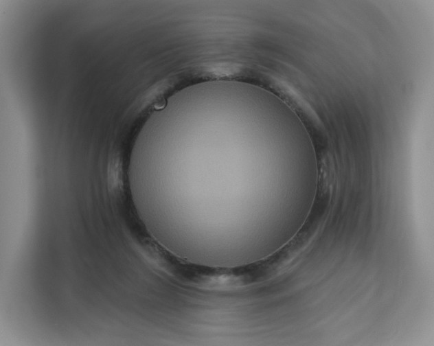 X0000111160212200907141408