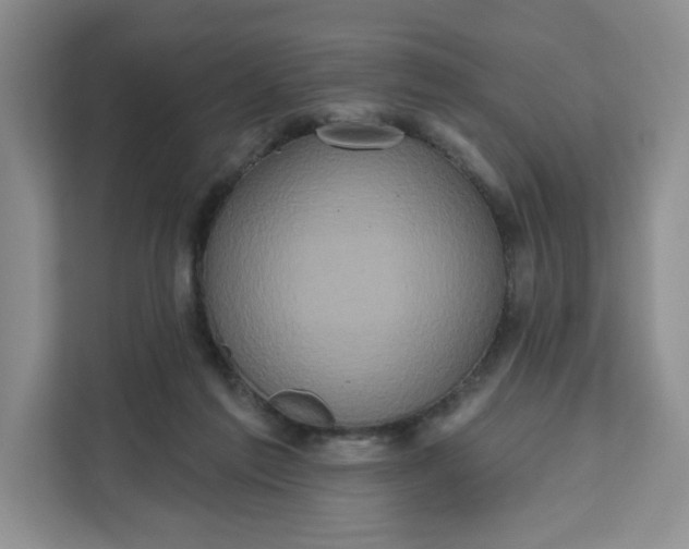 X0000111160213200907141408