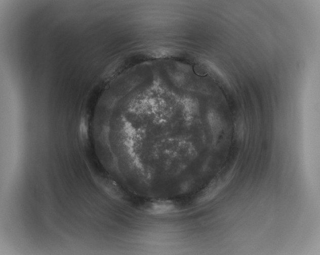 X0000111160214200907141408