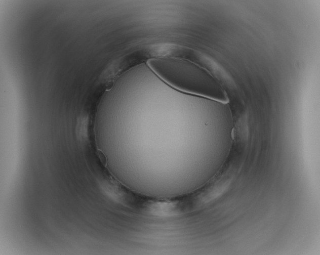 X0000111160217200907141408