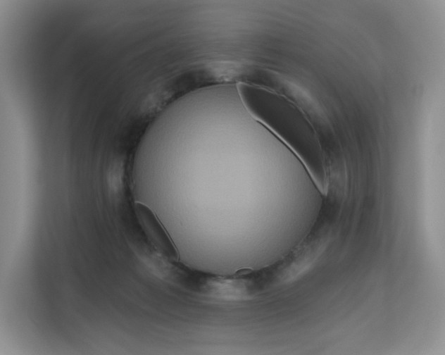 X0000111160221200907141408