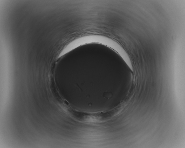 X0000111160223200907141408
