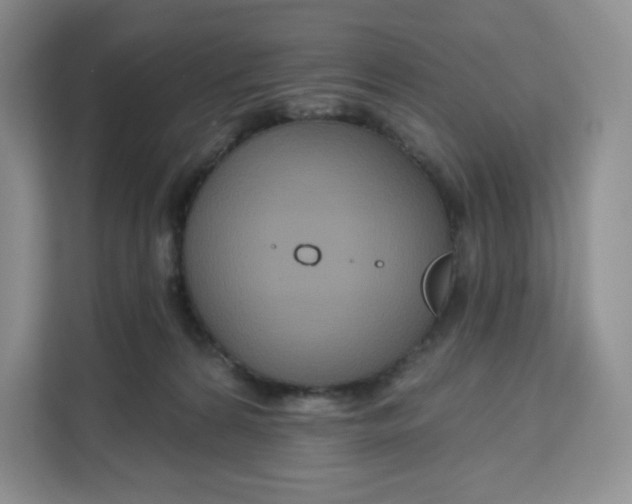 X0000111160224200907141408