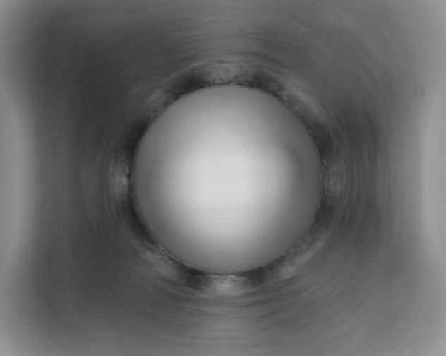 X0000111160226200907141408