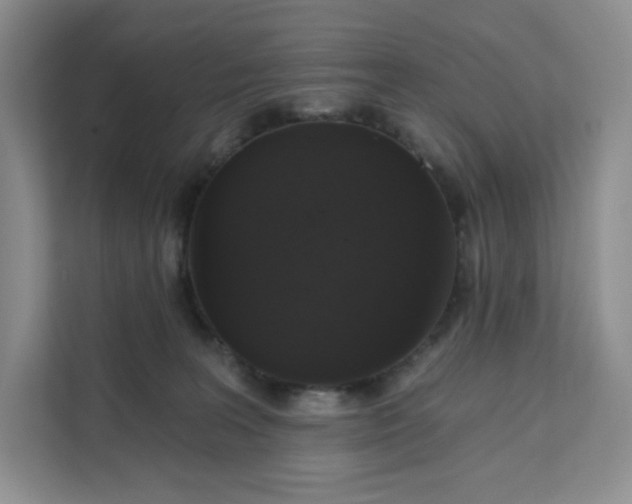 X0000111160227200907141408