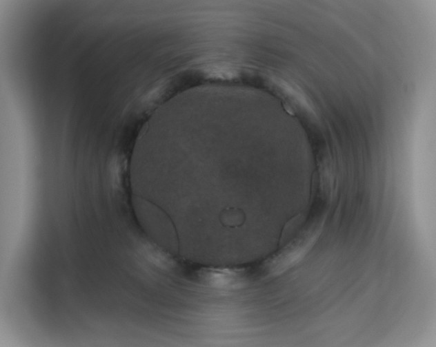 X0000111160229200907141408