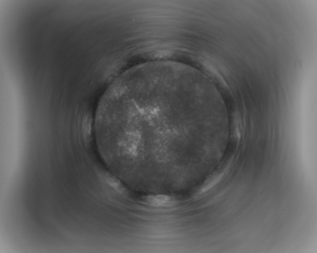 X0000111160230200907141408