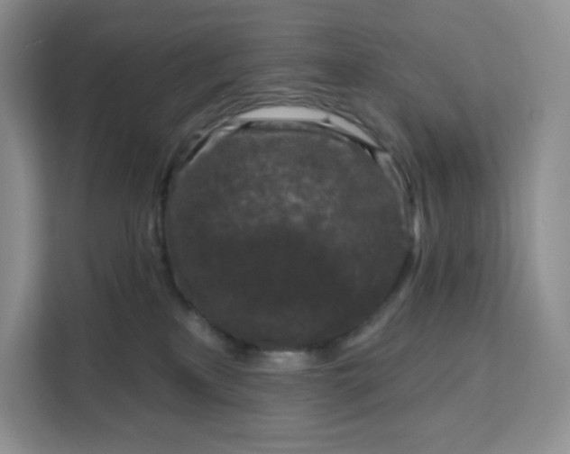 X0000111160233200907141408