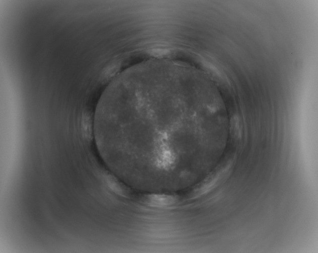 X0000111160234200907141408
