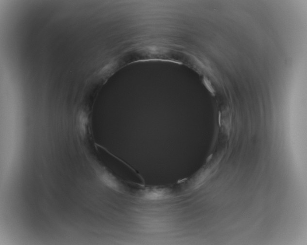 X0000111160235200907141408