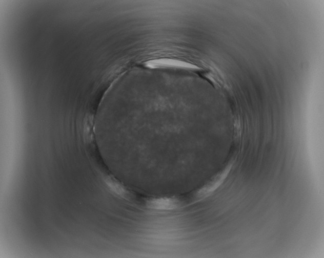 X0000111160237200907141408
