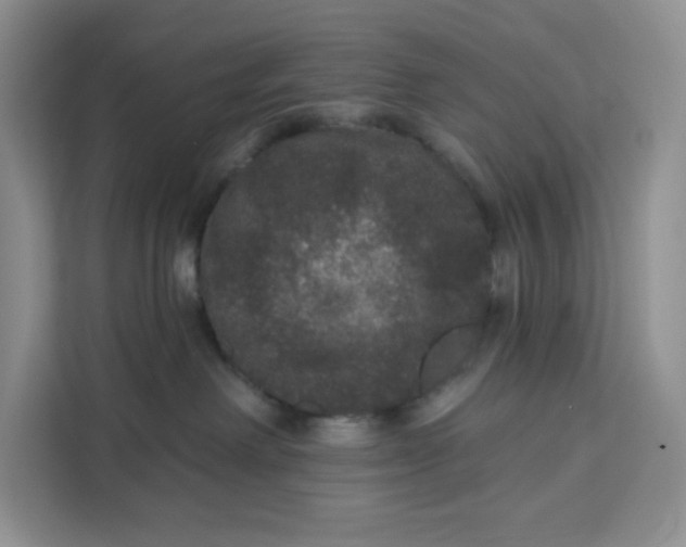 X0000111160238200907141408