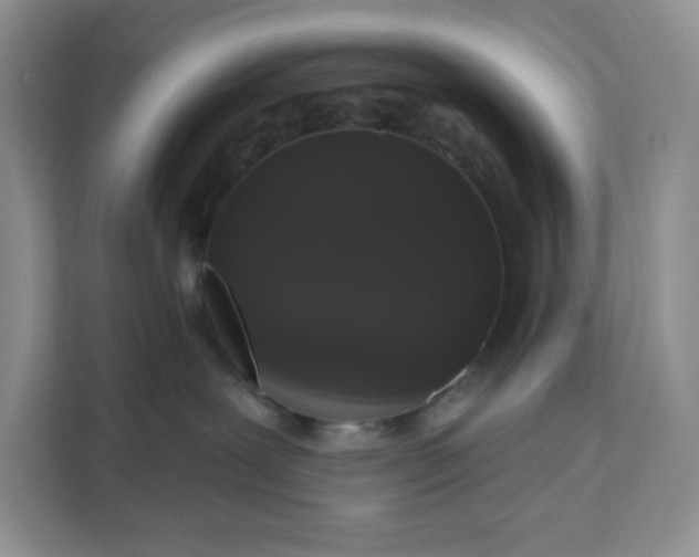 X0000111160239200907141408