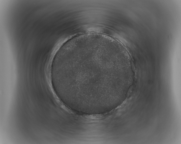 X0000111160241200907141407