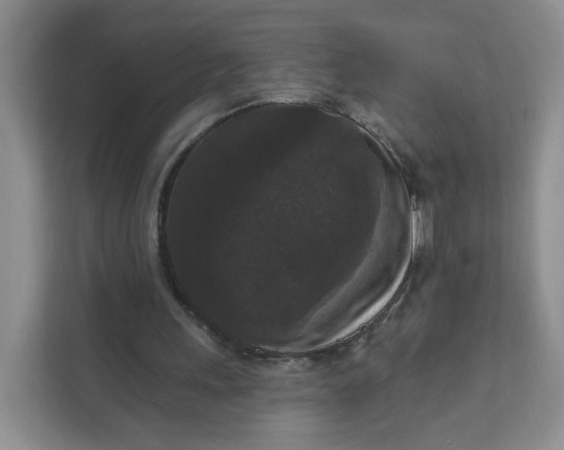 X0000111160243200907141407