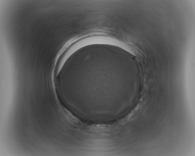 X0000111160244200907141407