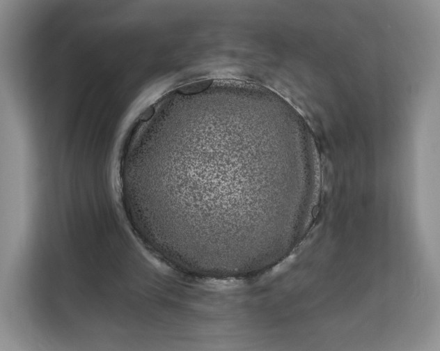 X0000111160245200907141407