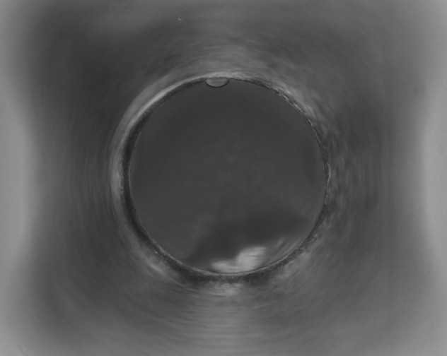 X0000111160247200907141407