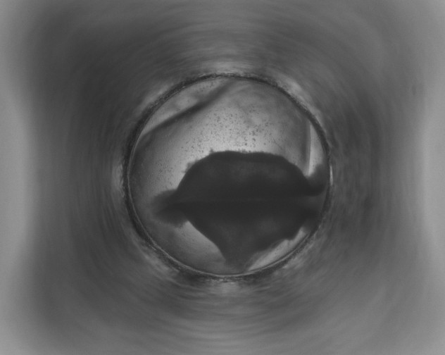 X0000111160249200907141407