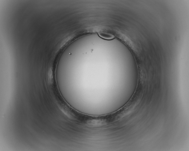 X0000111160251200907141407