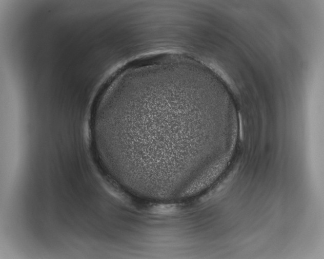 X0000111160252200907141407