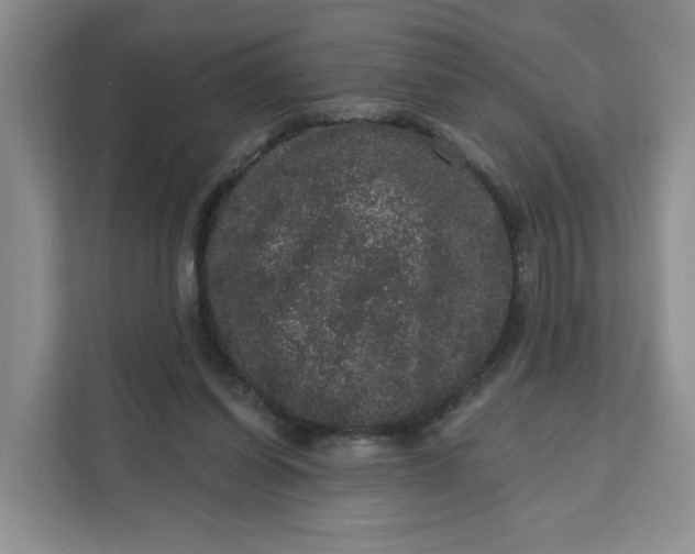 X0000111160254200907141407