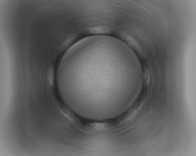 X0000111160255200907141407