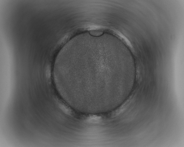 X0000111160257200907141407