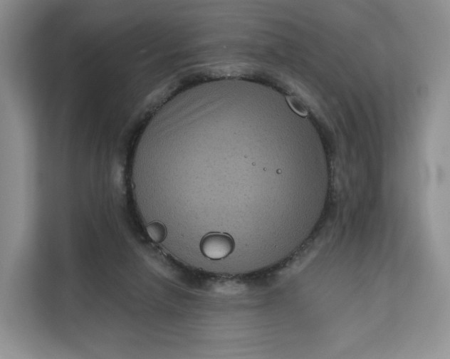 X0000111160258200907141407