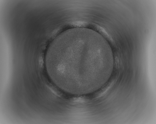 X0000111160259200907141407