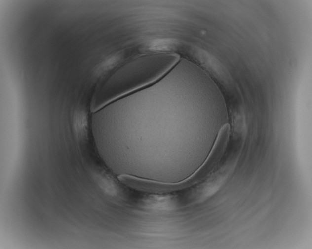 X0000111160260200907141407
