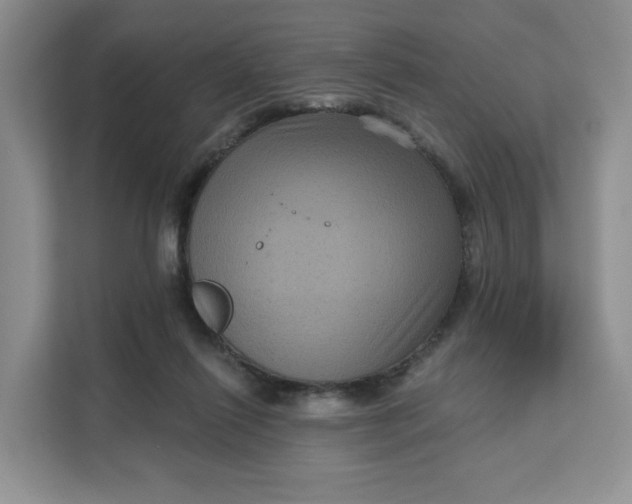 X0000111160262200907141407